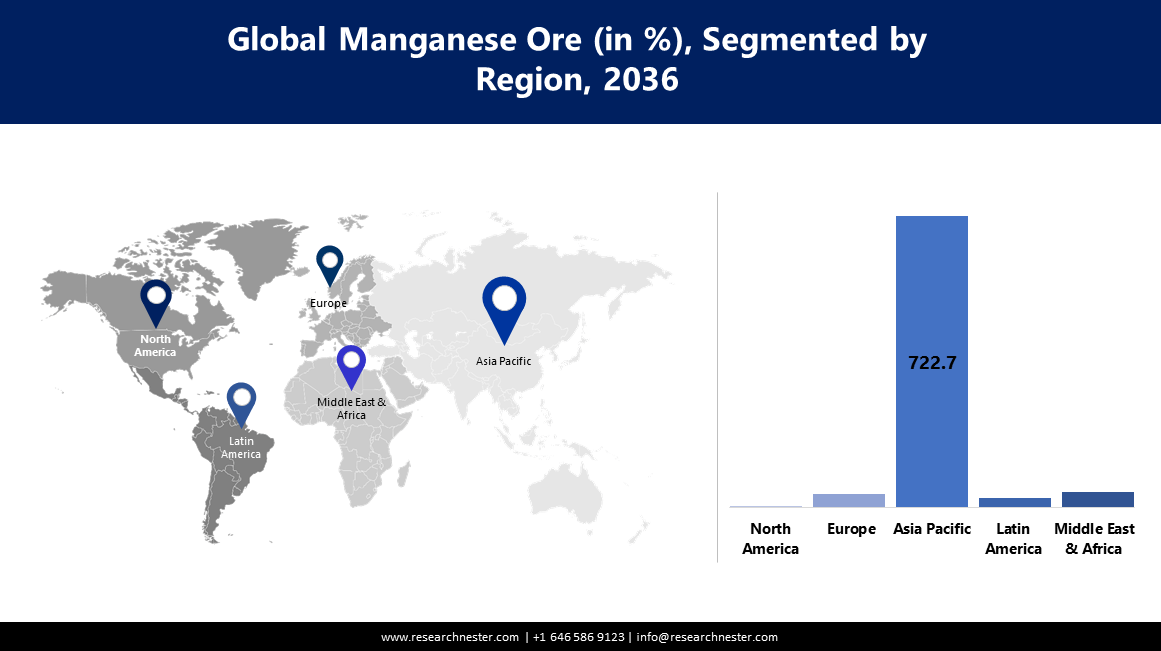 Manganese Ore Market size